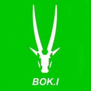 NEW BOKI IMPLEMENTS